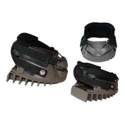 DALLMER REHE CLOG LAMINITIS