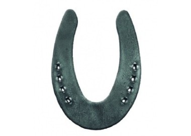 DOUBLE S REINING SLIDING SP