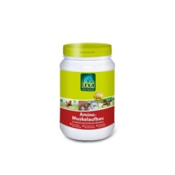AMINO PLUS LEXA