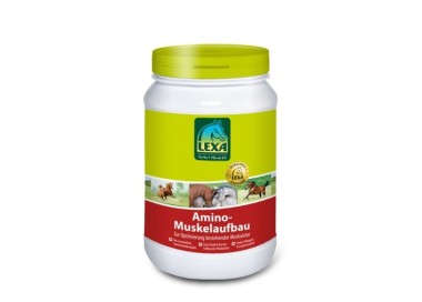 AMINO PLUS LEXA