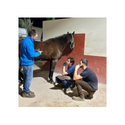 CLINIC ARTURO MARTI