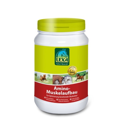 AMINO PLUS LEXA