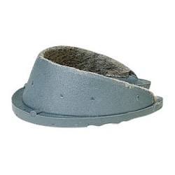 HERRADURA EXTENSION ANTERIOR