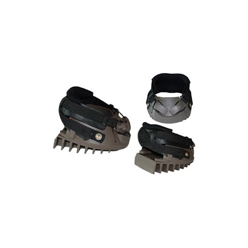 DALLMER REHE CLOG LAMINITIS