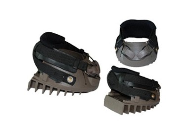 DALLMER REHE CLOG LAMINITIS