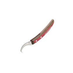 LEGRA JIM BLURTON CURVA